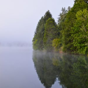 Fog on Lake Selmac