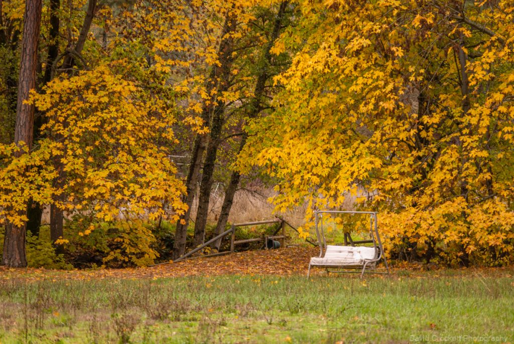 An empty porch swing sets on the edge of an open field and colorful fall trees